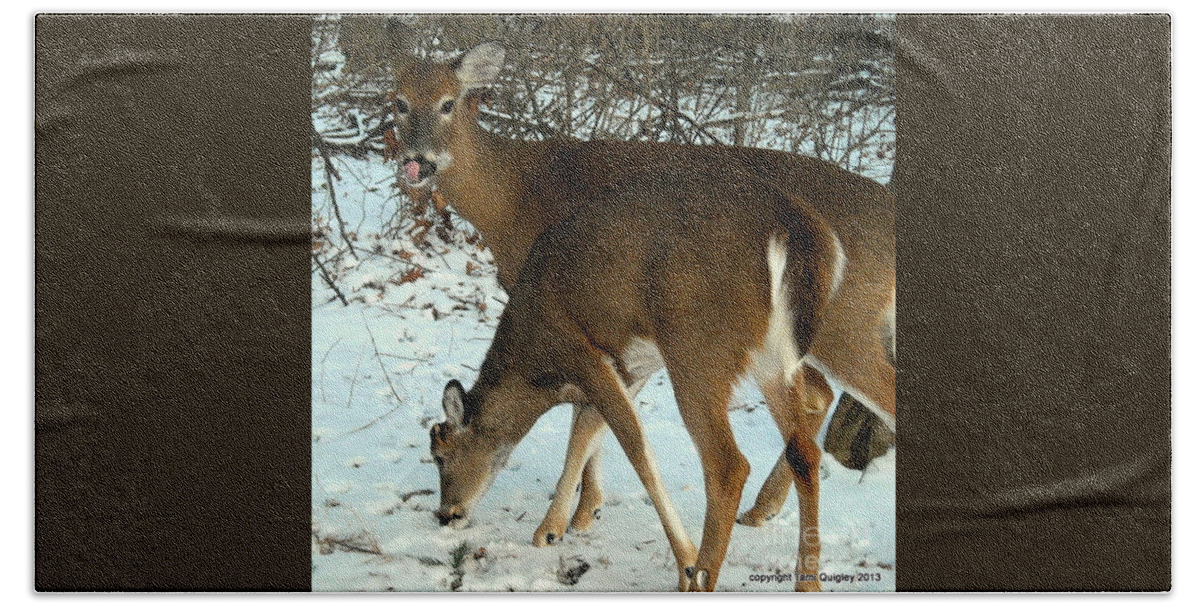 Deer Beach Sheet featuring the photograph In The Snow At Sunset by Tami Quigley