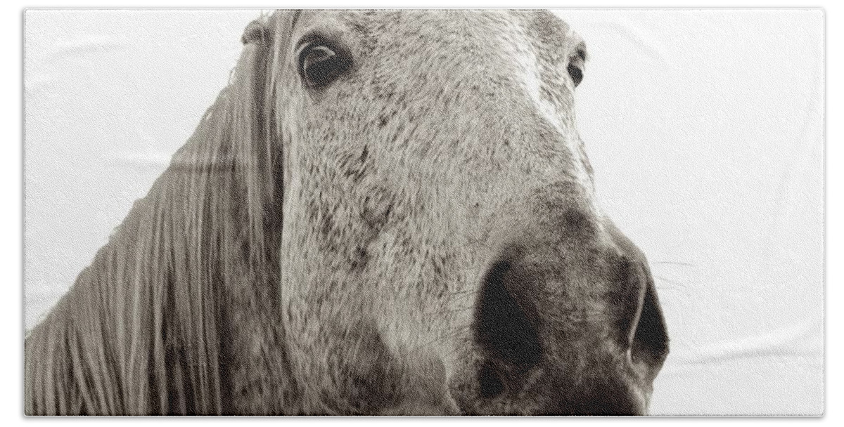 Horse Face Photograph Beach Towel featuring the photograph In Your Face by Kristina Deane