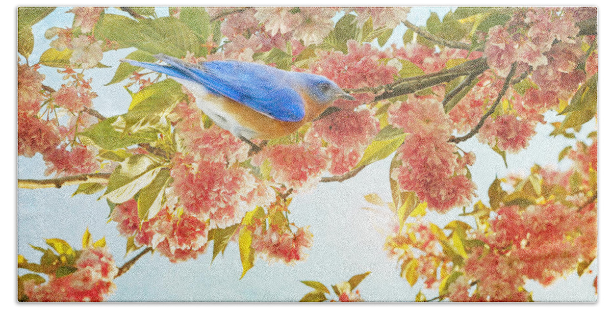 Blue Bird Beach Sheet featuring the photograph Indigo Bluebird on Pink Flowering Tree Branch by Brooke T Ryan