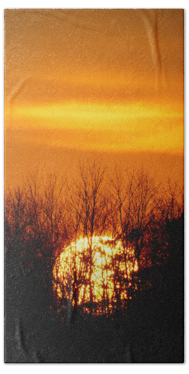Bill Pevlor Beach Towel featuring the photograph Inferno In the Trees by Bill Pevlor