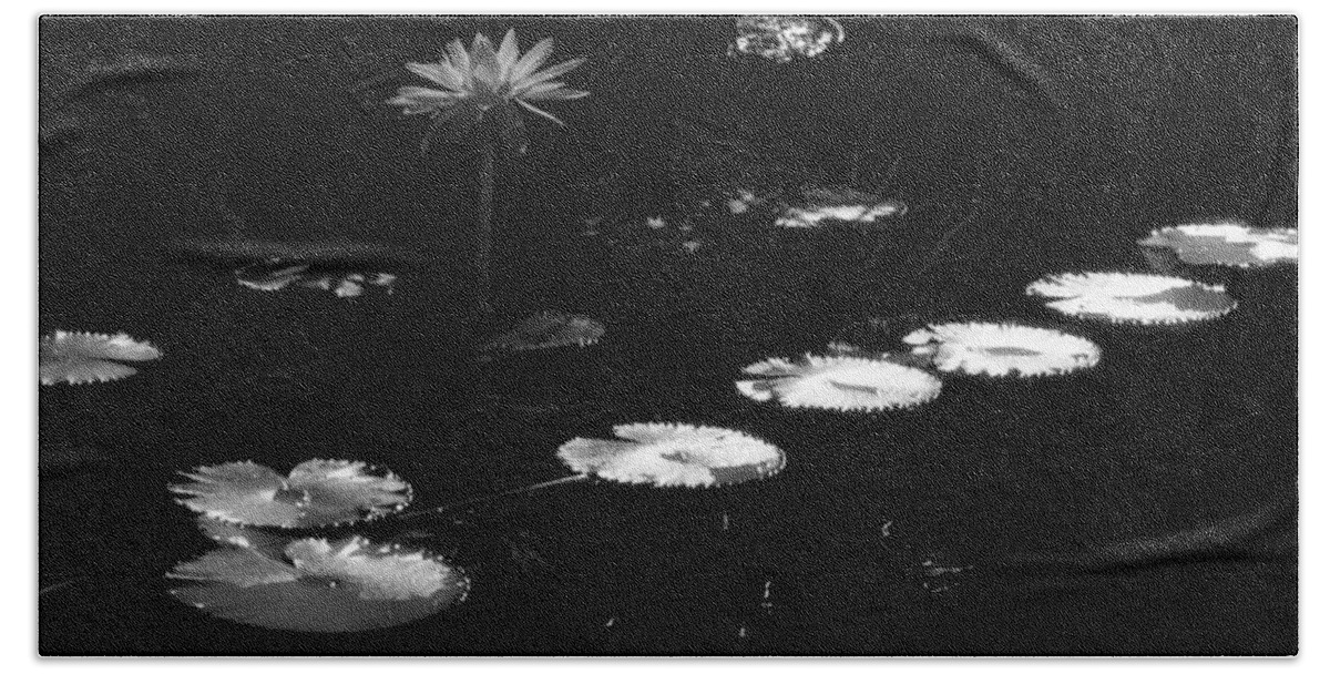 Water Lily Beach Sheet featuring the photograph Infrared - Water Lily and Lily Pads by Pamela Critchlow