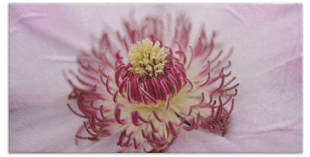 Floral Beach Towel featuring the photograph Inside the Flower by Mike Martin