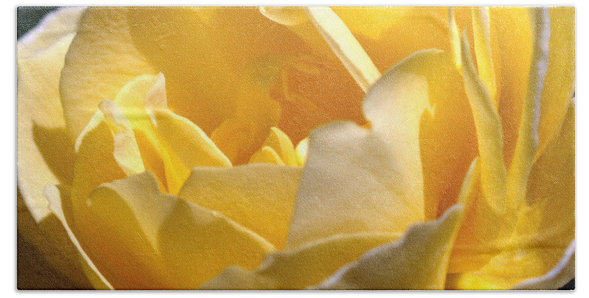 Rose Beach Sheet featuring the photograph Inside the Yellow Rose by Farol Tomson