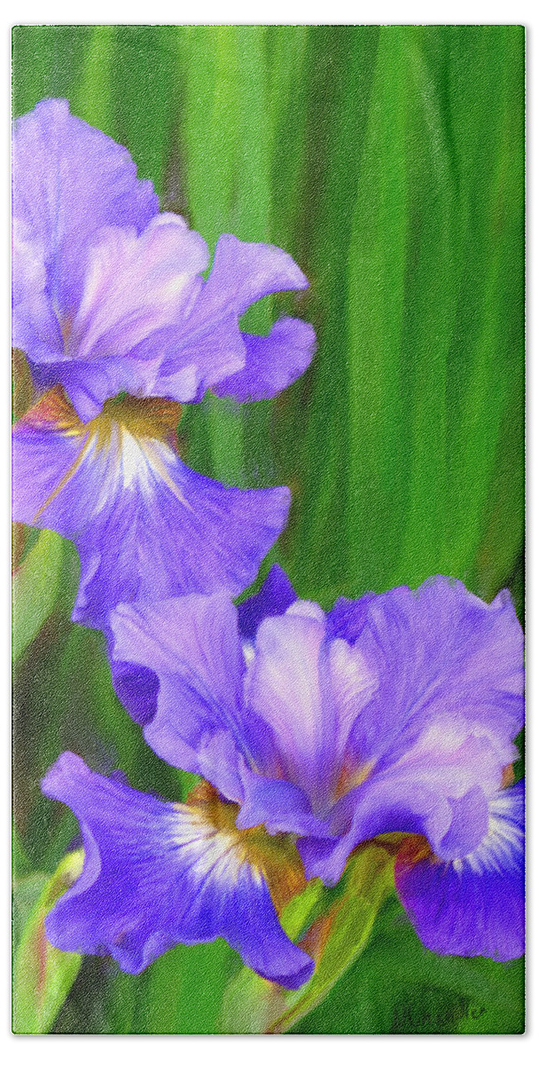 Flower Beach Sheet featuring the painting Iris by Diane Chandler