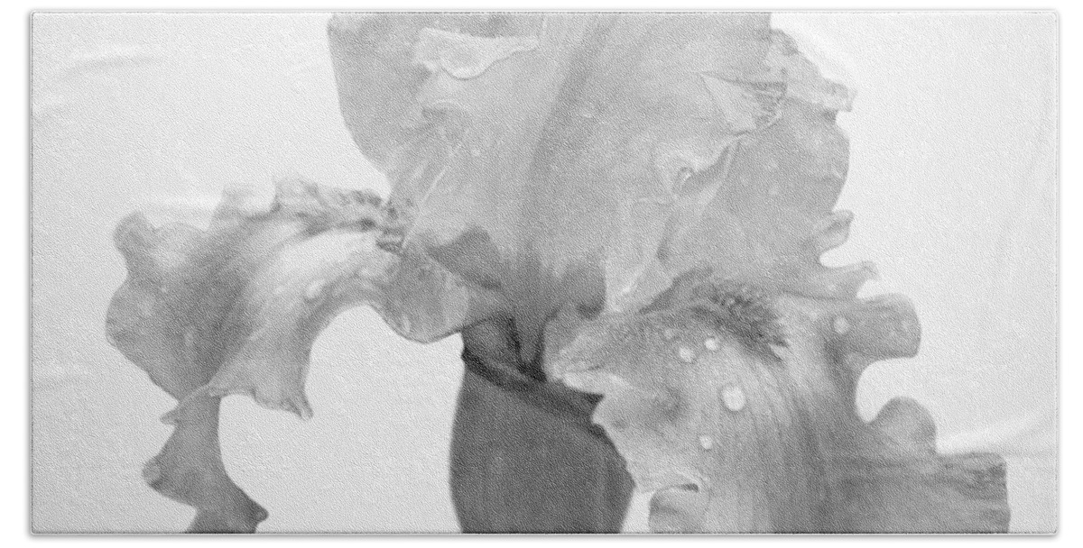 Black And White Beach Towel featuring the photograph Iris in the Rain by David and Carol Kelly