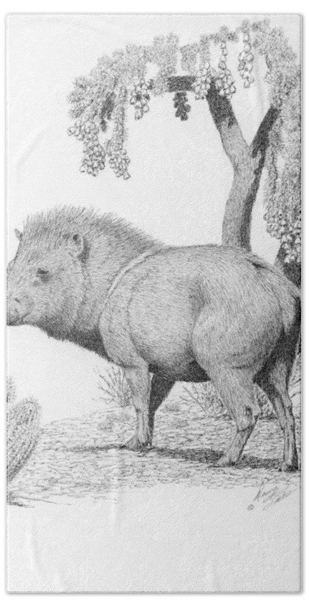Javelina Beach Towel featuring the drawing Javelina by Darcy Tate