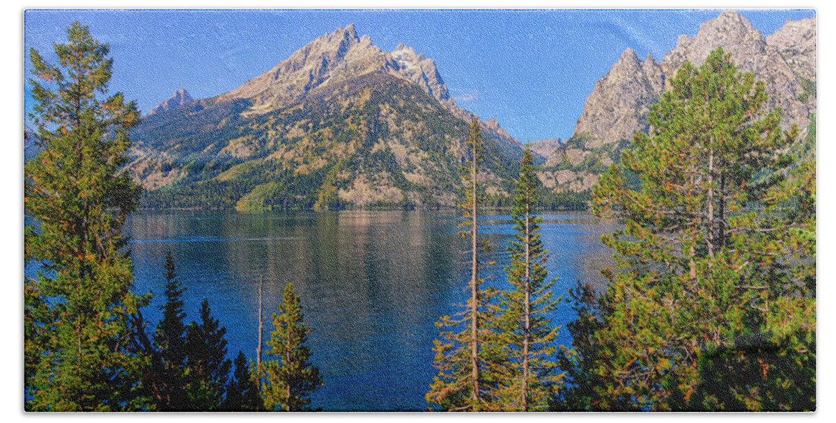 Jenny Lake Beach Towel featuring the photograph Jenny Lake Overlook by Greg Norrell