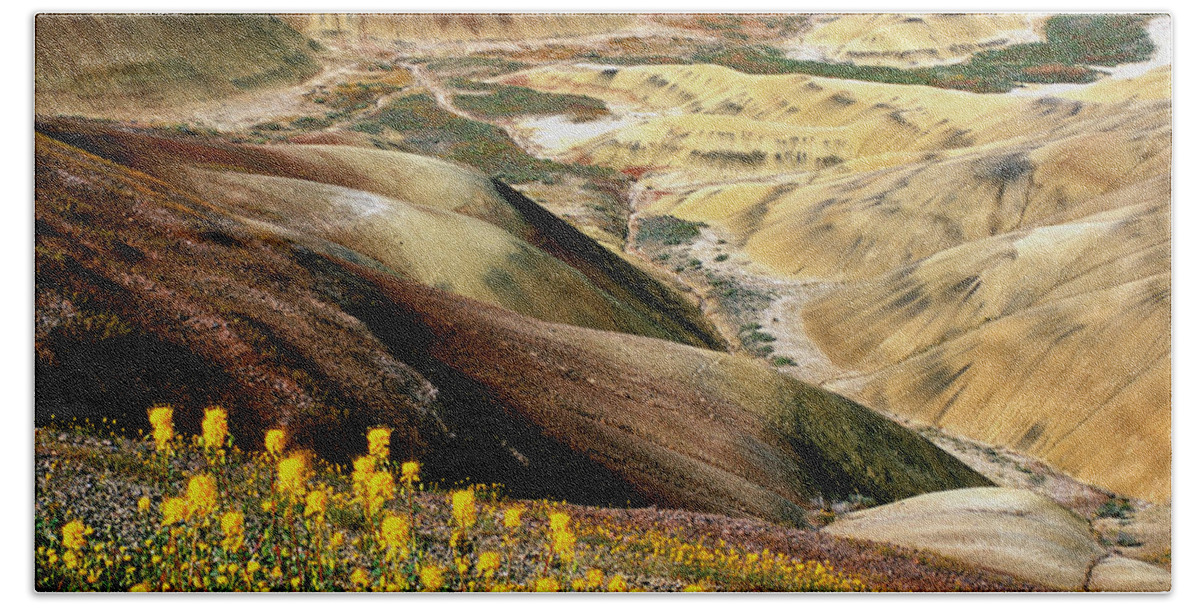 John Day Painted Hills Beach Towel featuring the photograph John Day Painted Hills Oregon by Ed Riche