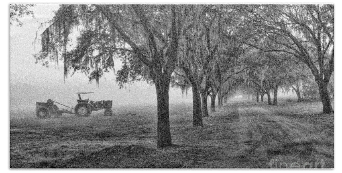 Low Beach Towel featuring the photograph John Deer Tractor and the Avenue of Oaks by Scott Hansen