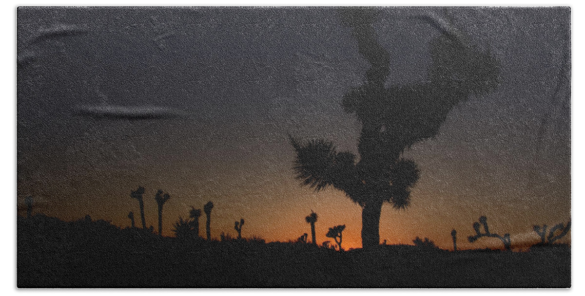 America Beach Towel featuring the photograph Joshua Tree in silhouette by Sue Leonard