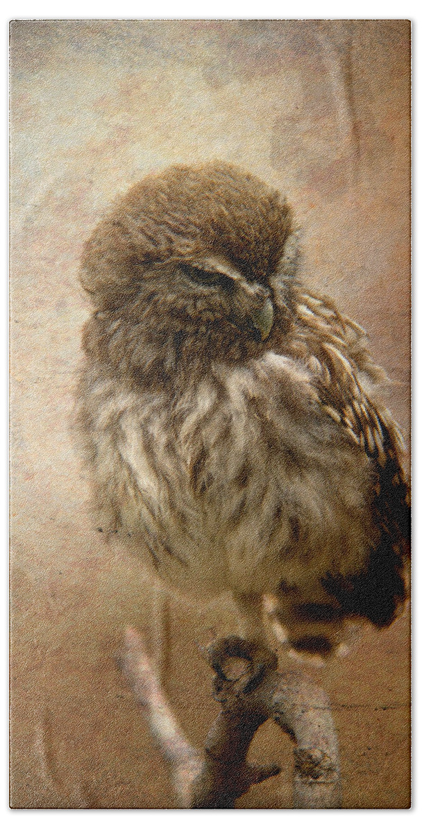 Little Beach Towel featuring the mixed media Just awake Little Owl by Perry Van Munster