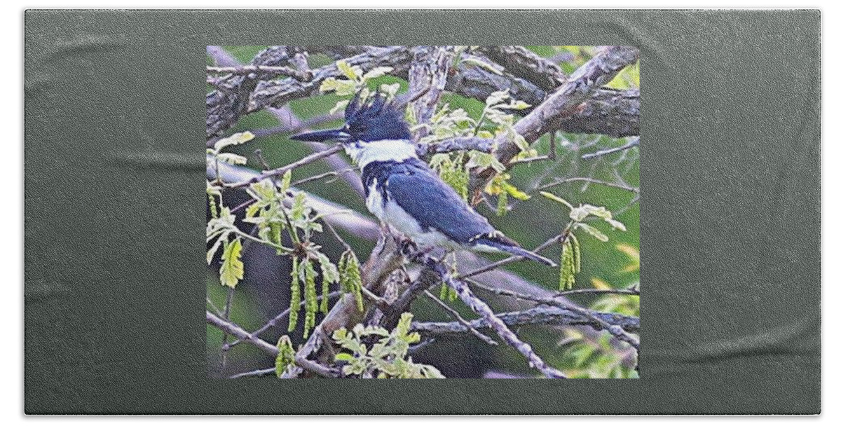 Belted Kingfisher Beach Sheet featuring the photograph King of the Tree by Elizabeth Winter