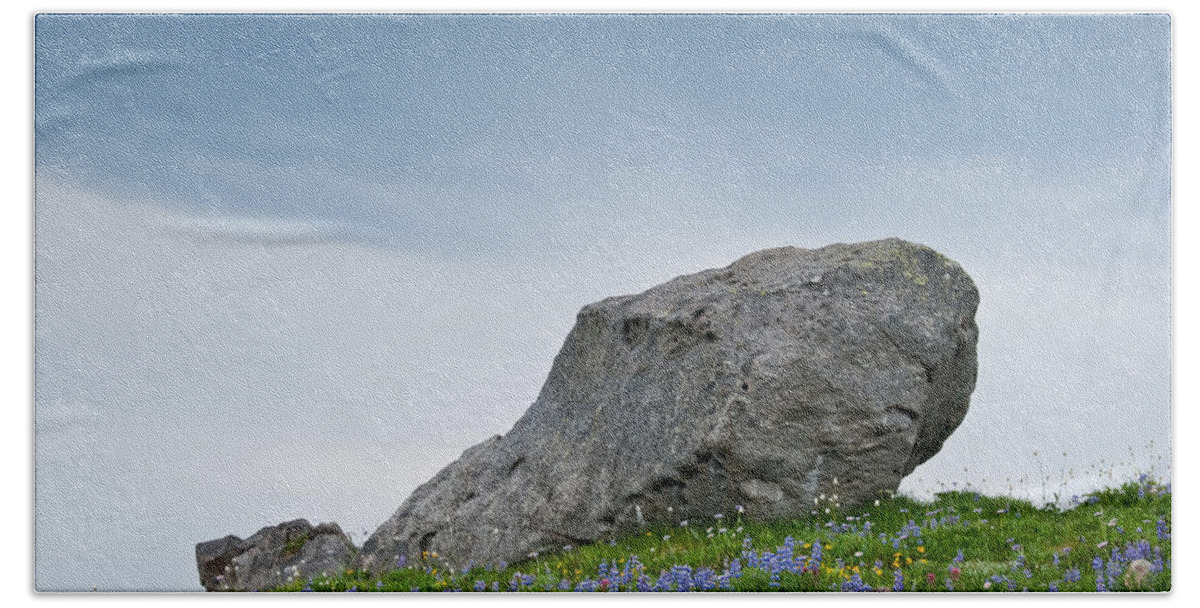 Alpine Beach Towel featuring the photograph Large Boulder Deposited by a Glacier in an Alpine Meadow by Jeff Goulden