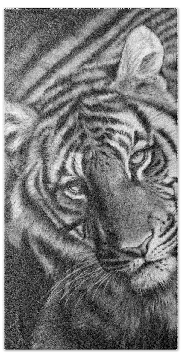 Tiger Beach Sheet featuring the drawing Last Chance To See by Peter Williams