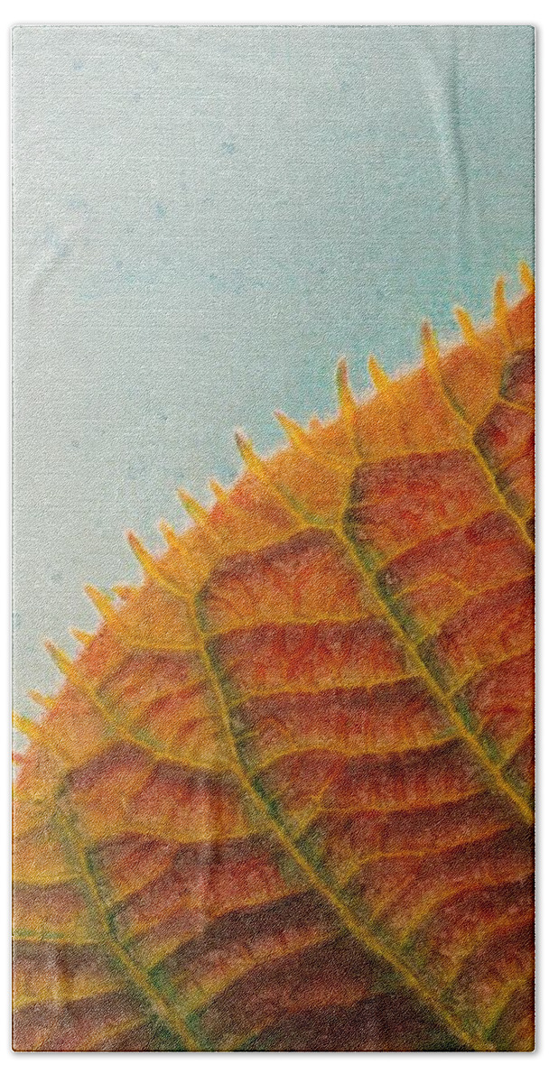 Leaf Beach Towel featuring the painting Leaf Against the Sky by Cara Frafjord