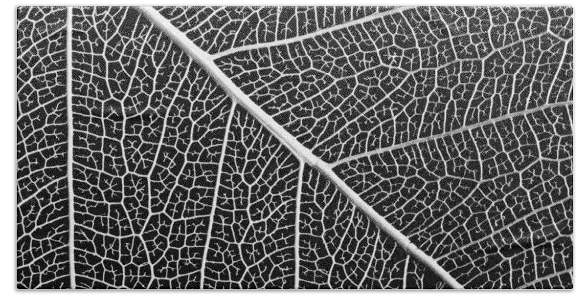 Leaf Beach Towel featuring the photograph Leaf Structure by Robert Woodward