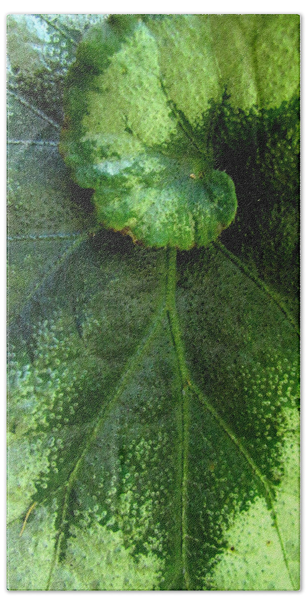 Leaf Beach Sheet featuring the photograph Leafy Greens by Lori Lafargue