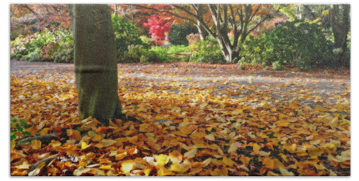 Fall Beach Towel featuring the photograph Leaves and more leaves by Jenny Setchell