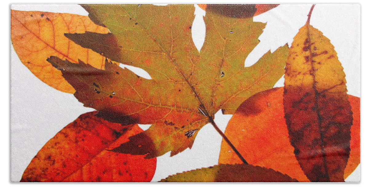 Leaf Beach Sheet featuring the photograph Leaves by Catherine Howley