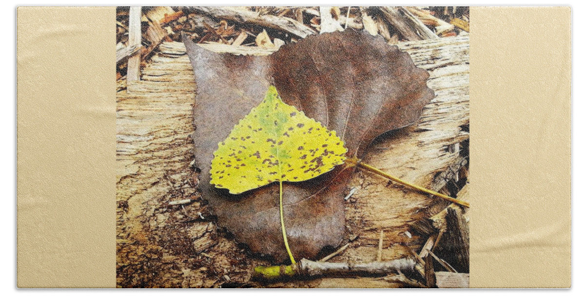 Leaves Beach Towel featuring the photograph Leaves by Inspired Arts