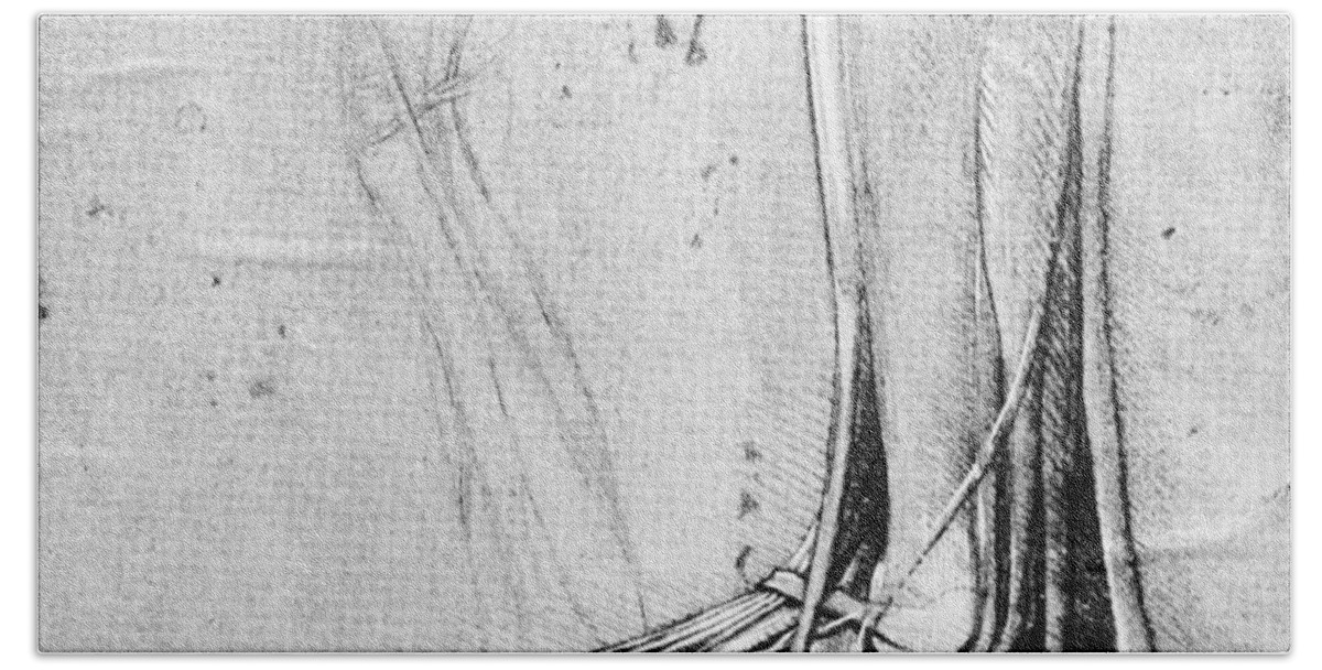 1490 Beach Towel featuring the photograph Leonardo: Bear Anatomy by Granger
