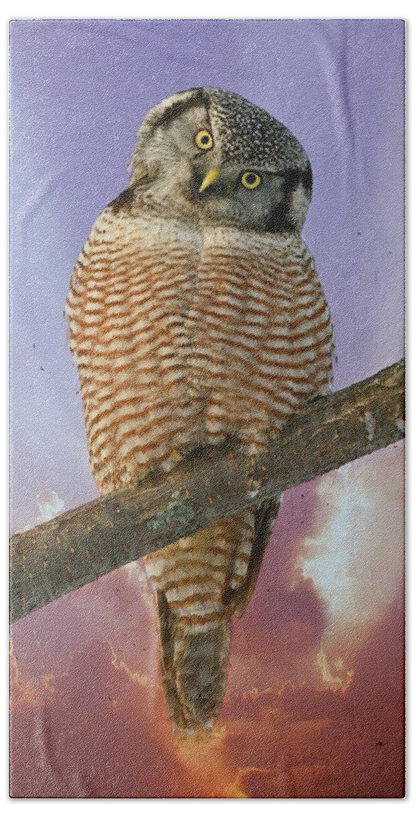 Hawk Owl Beach Sheet featuring the photograph Lest ye be judged by Heather King