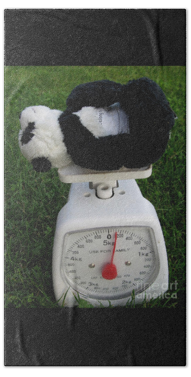 Baby Panda Beach Sheet featuring the photograph Let's check my weight now by Ausra Huntington nee Paulauskaite