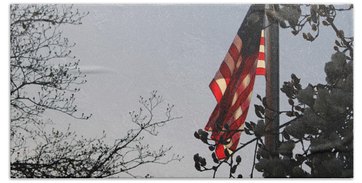 Flag Beach Towel featuring the photograph Liberty And Justice For All by Jeanette C Landstrom
