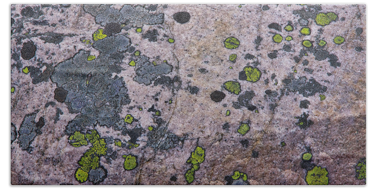 Rock Beach Sheet featuring the photograph Lichen Abstract #2 by Stuart Litoff
