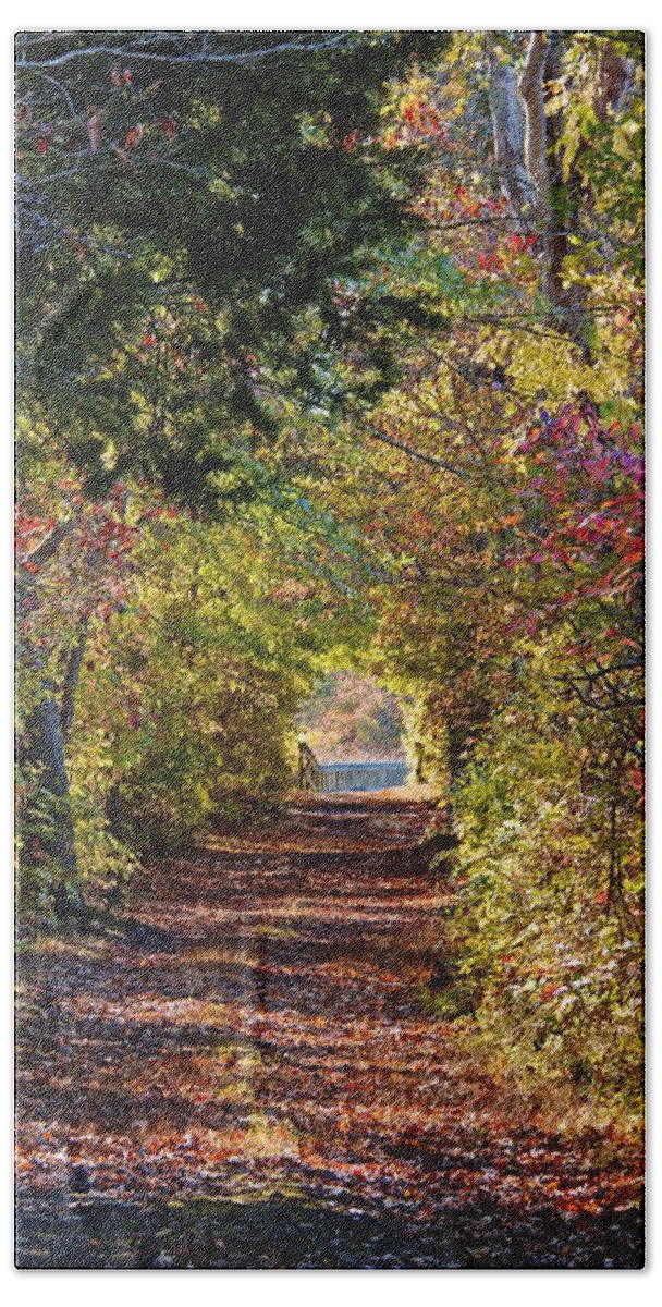 Anne Arundel County Beach Towel featuring the photograph Light at the End of the Tunnel by Kathi Isserman