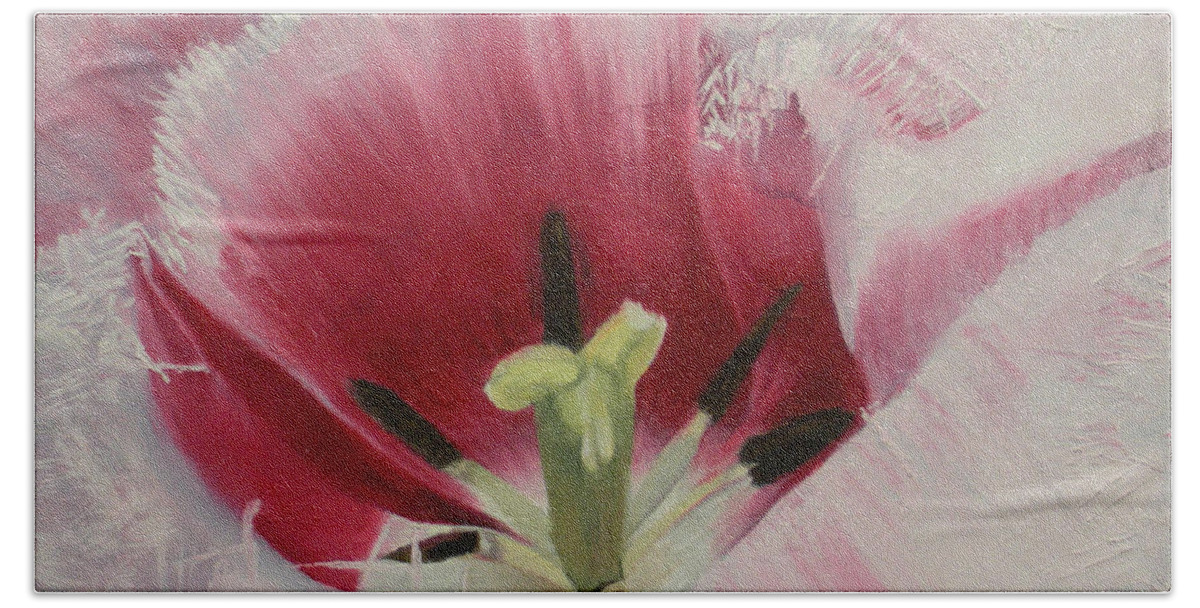 Tulip Beach Sheet featuring the painting Lilicaea Tulipa by Claudia Goodell