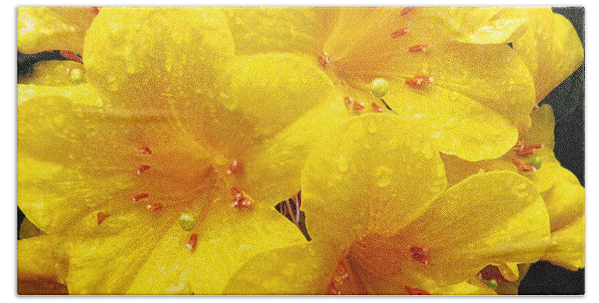 Yellow Beach Towel featuring the digital art Lilies by Kathleen Illes