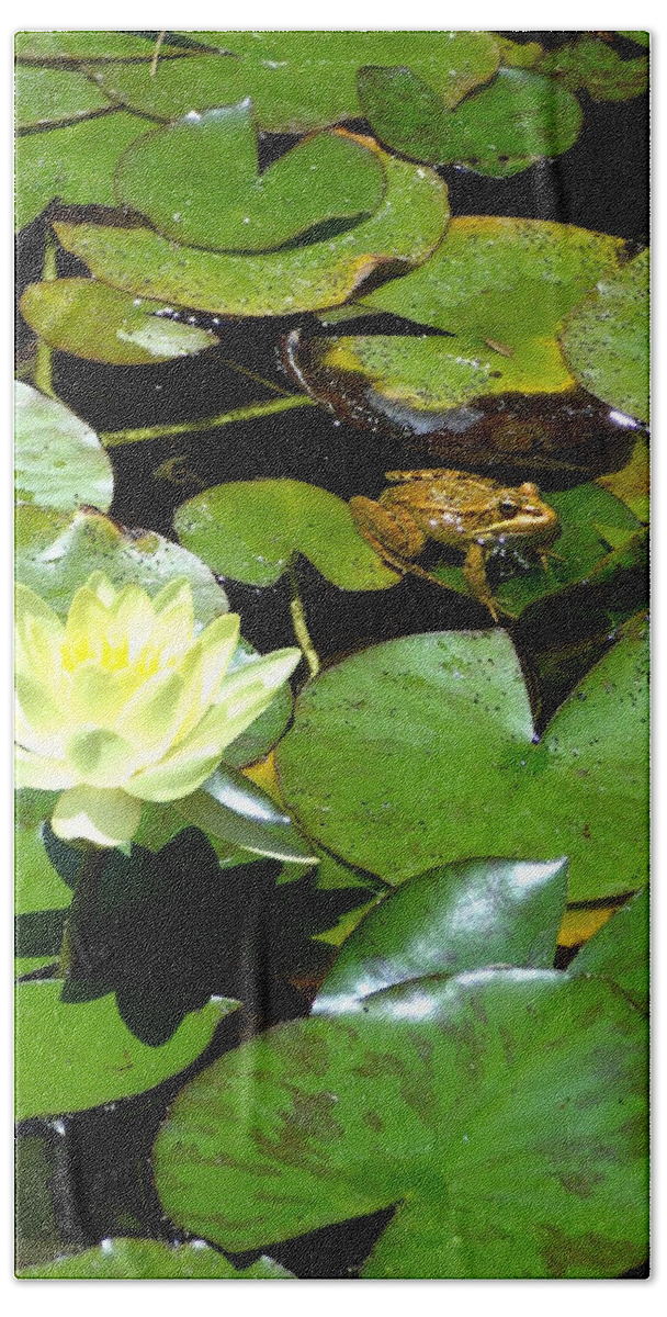 Lily Beach Towel featuring the photograph Lily and Amphibian Friend by Steve Kearns