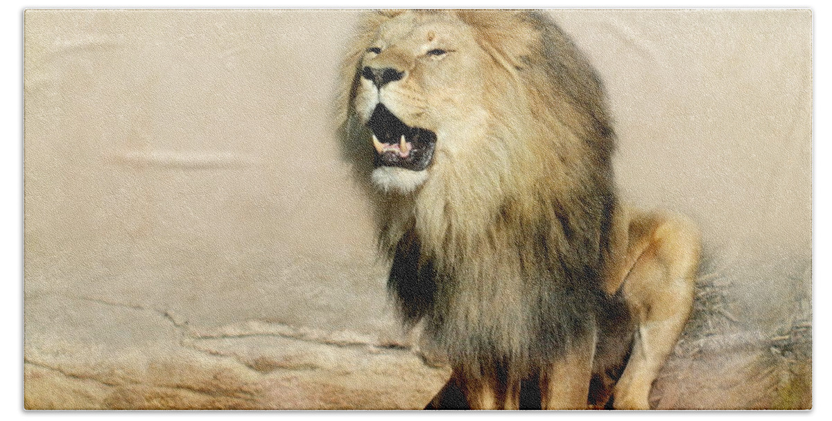 Lion Beach Towel featuring the photograph Lion by Heike Hultsch