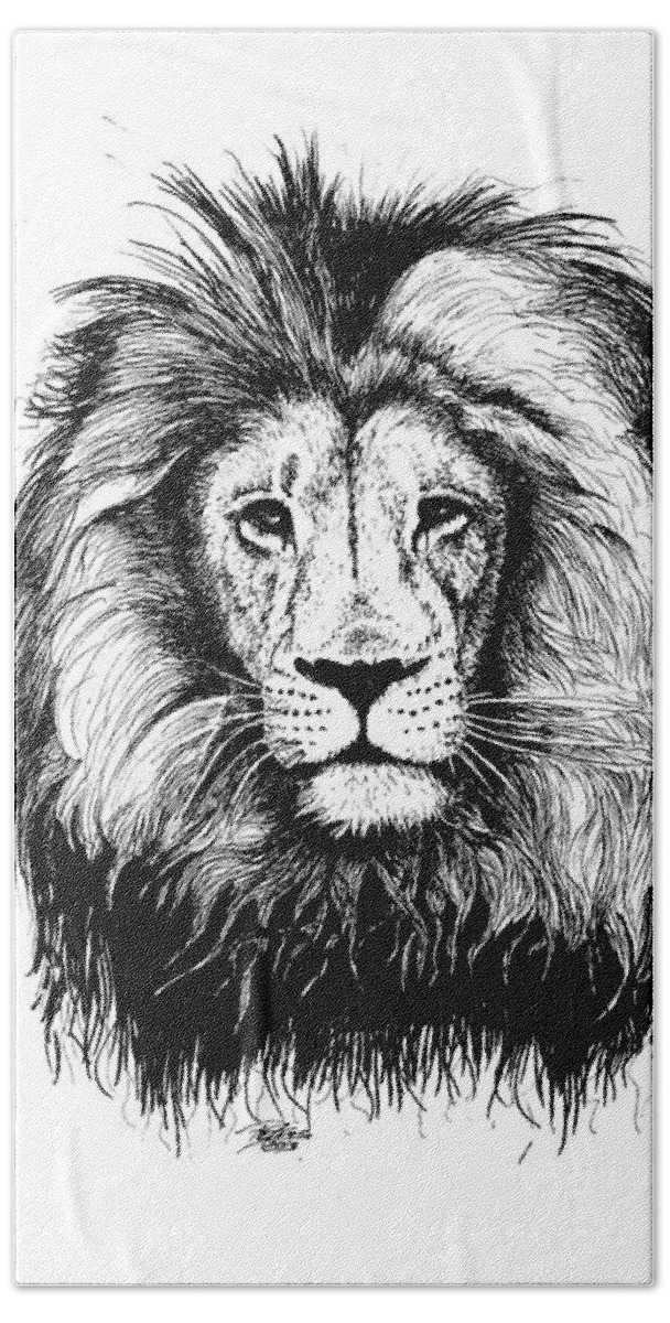 Lion Beach Towel featuring the drawing Lionking by Petra Stephens