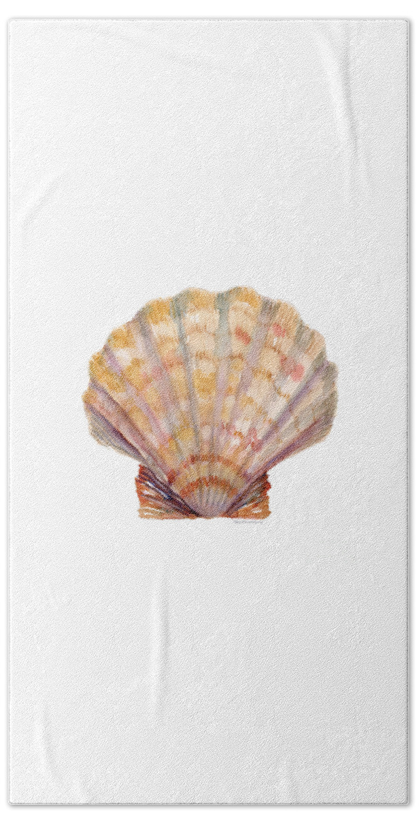 Shell Beach Sheet featuring the painting Lion's Paw Shell by Amy Kirkpatrick