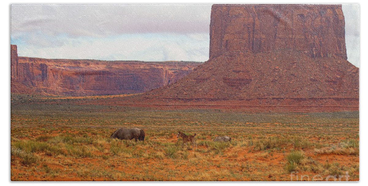 Red Soil Beach Towel featuring the photograph Living Beneath the Butte by Jim Garrison