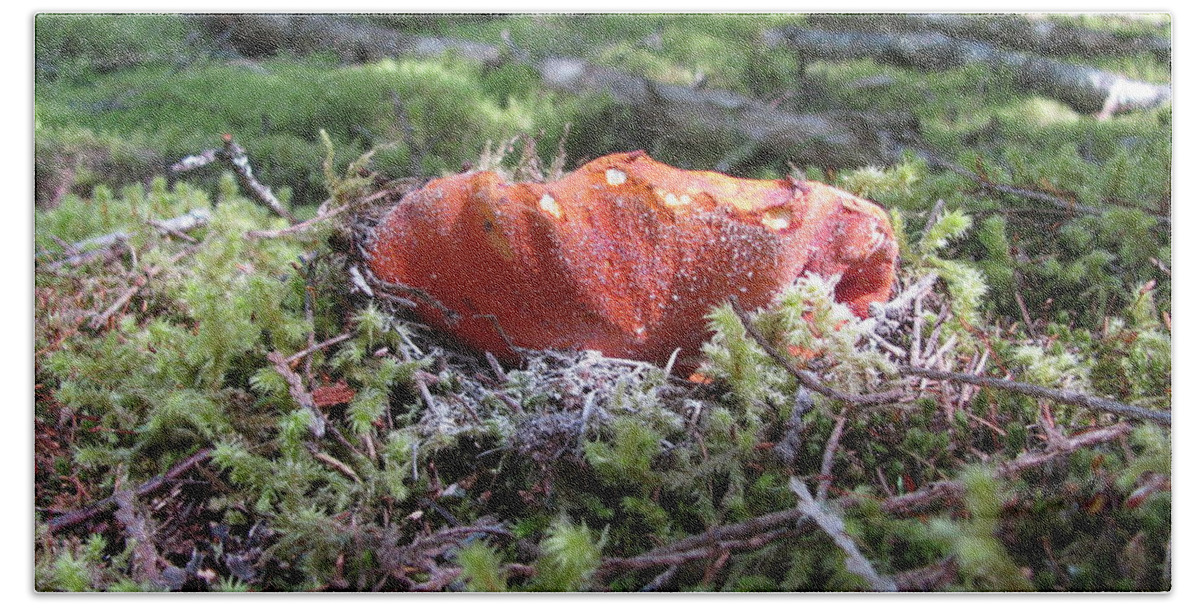 Lobster Beach Sheet featuring the photograph Lobster Mushroom by Leone Lund