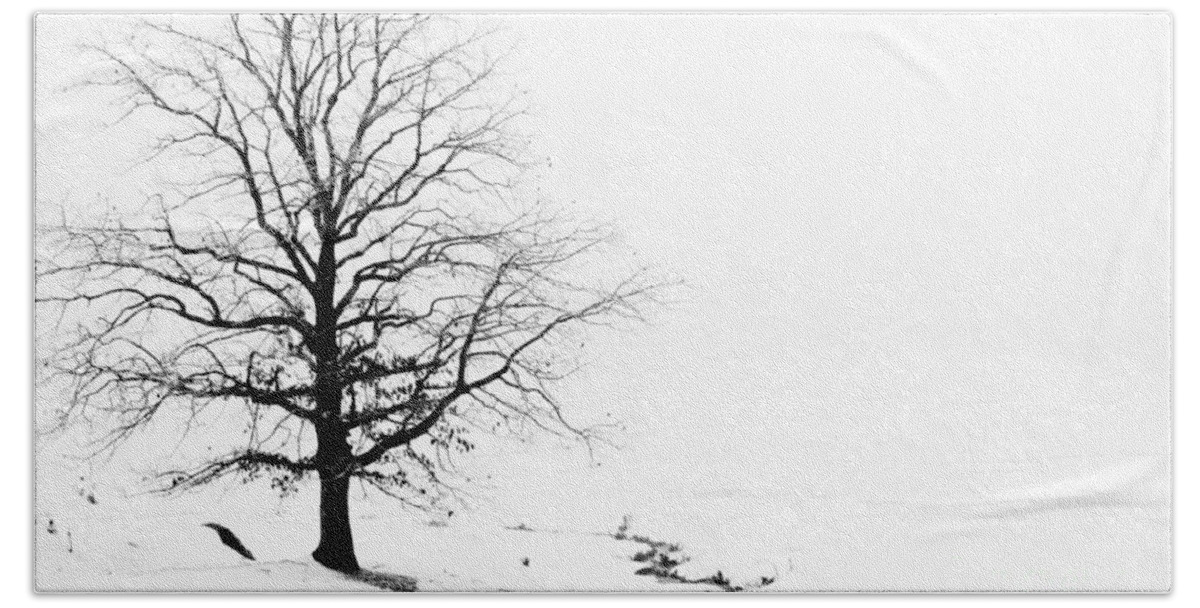 Snow Beach Towel featuring the photograph Lone Tree In black and White by John Harmon
