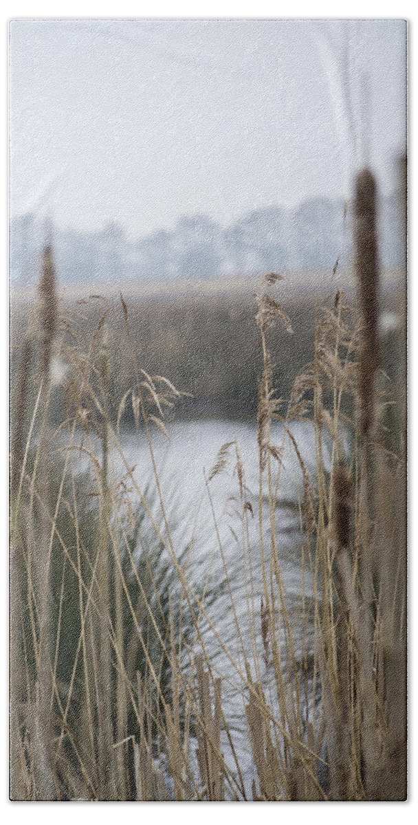Reeds Beach Towel featuring the photograph Looking through the Reeds by Spikey Mouse Photography