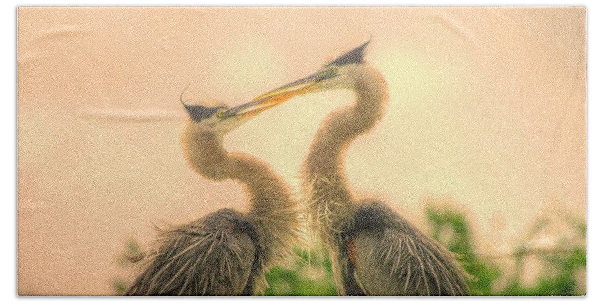 Blue Herons Beach Towel featuring the photograph Lovebirds by Dennis Baswell