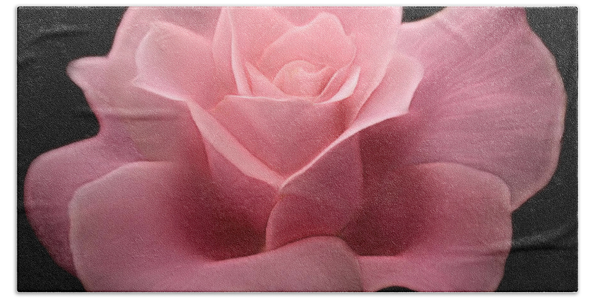 Roses Beach Towel featuring the digital art Lovely Pink Rose by Nina Bradica