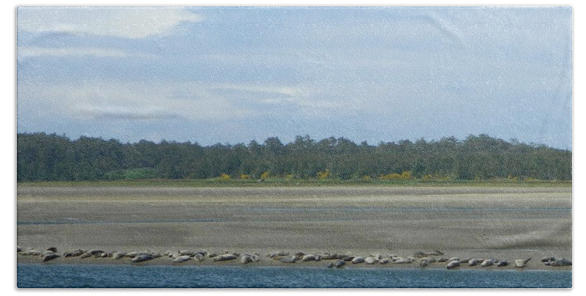 Seals Beach Towel featuring the photograph Low Tide by Gallery Of Hope 