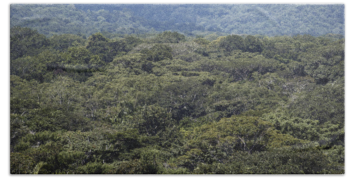 Biodiversity Beach Towel featuring the photograph Lowland Rainforest, Panama by Gary Retherford