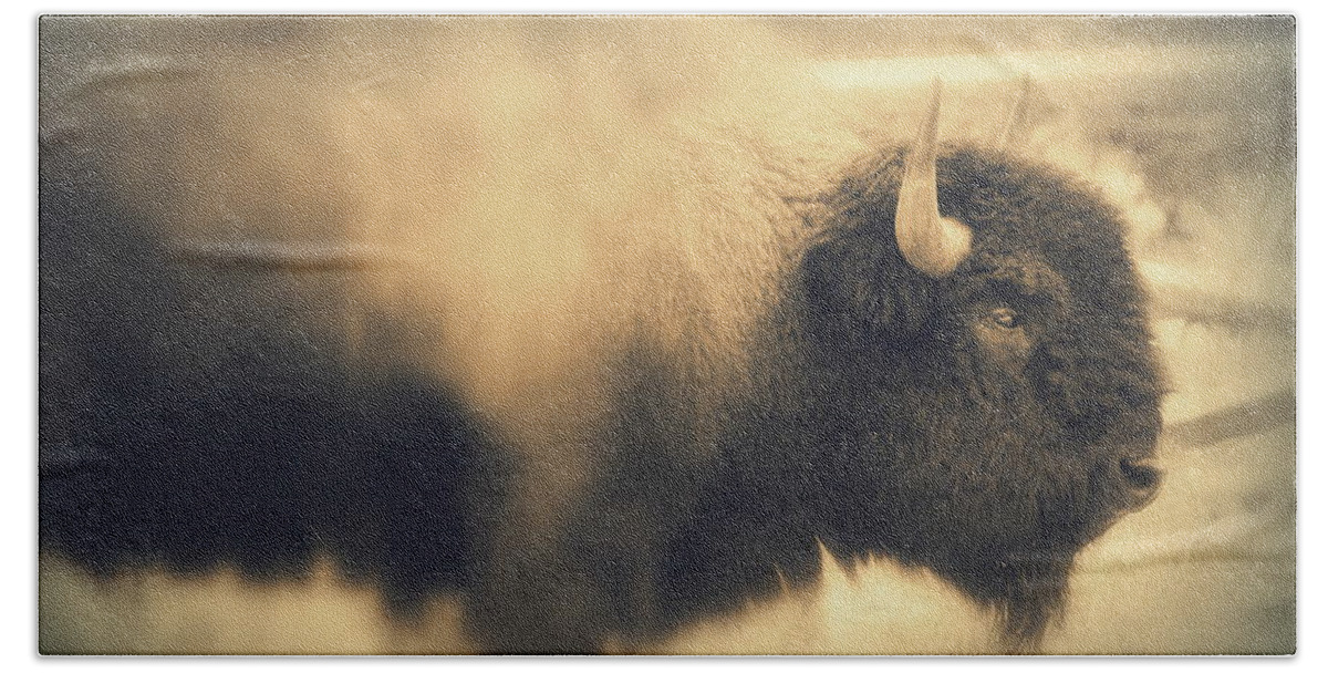 Buffalo Beach Towel featuring the photograph Lucky Yellowstone Buffalo by Lynn Sprowl