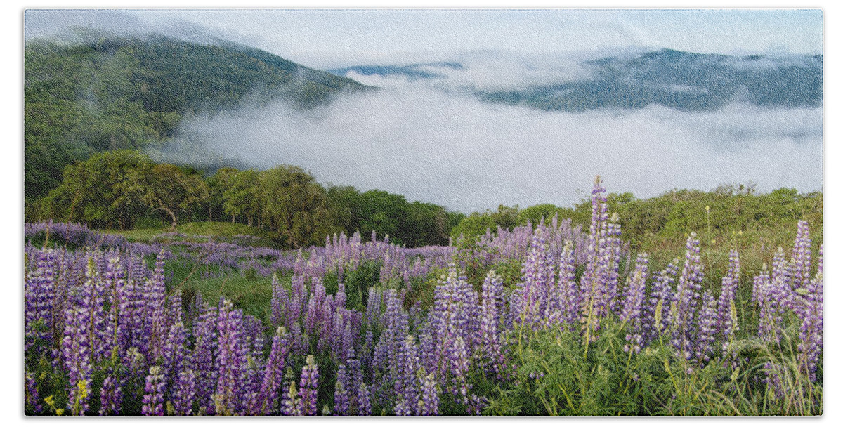 Lupine Beach Towel featuring the photograph Lupine of Bald Hills by Greg Nyquist