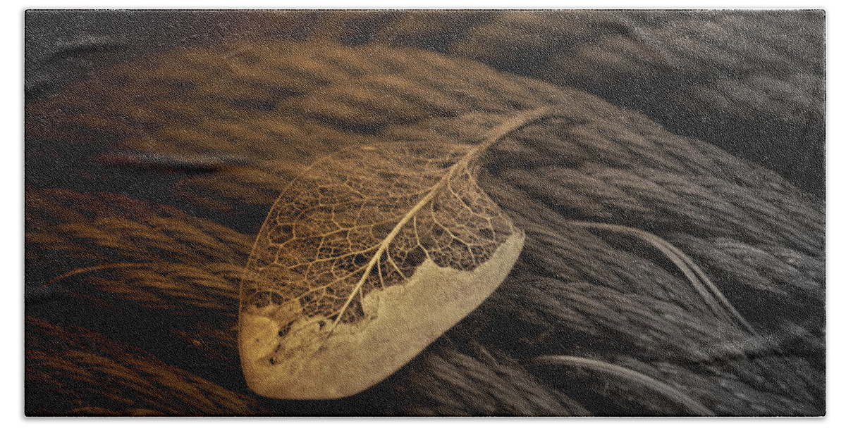 Leaf Beach Towel featuring the photograph Lwv10015 by Lee Winter
