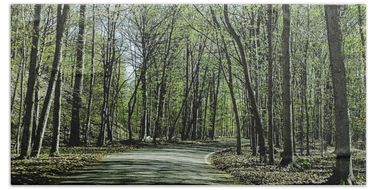 Usa Beach Sheet featuring the photograph M119 Tunnel of Trees Michigan by LeeAnn McLaneGoetz McLaneGoetzStudioLLCcom
