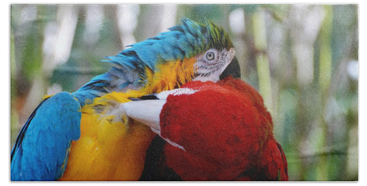Macaws Beach Towel featuring the photograph Macaws Of Color2 by Rob Hans