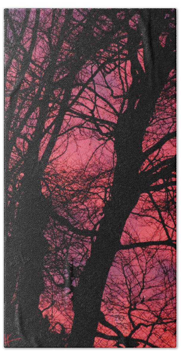 Colette Beach Towel featuring the photograph Magic Sunset by Colette V Hera Guggenheim